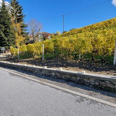 Ca Ed Giuanoto Lejlighed Santo Stefano Belbo Eksteriør billede